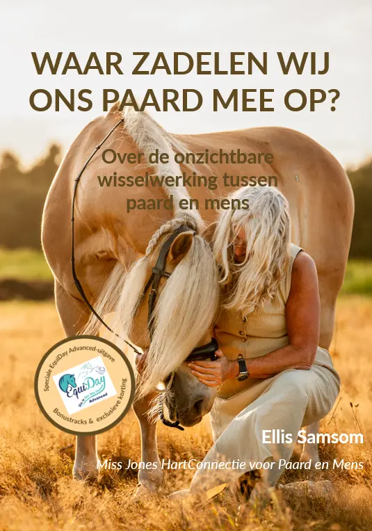 Schermafbeelding 2026 10 23 164300