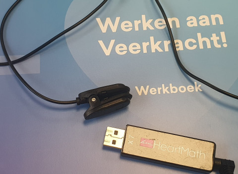 Werken een veerkracht werkboek